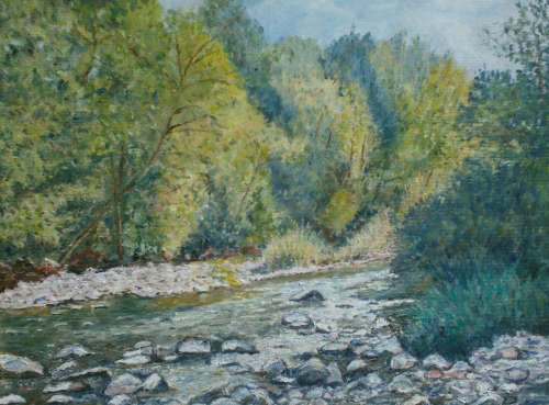 Greto sul fiume Taro